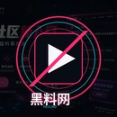黑料网品牌标志